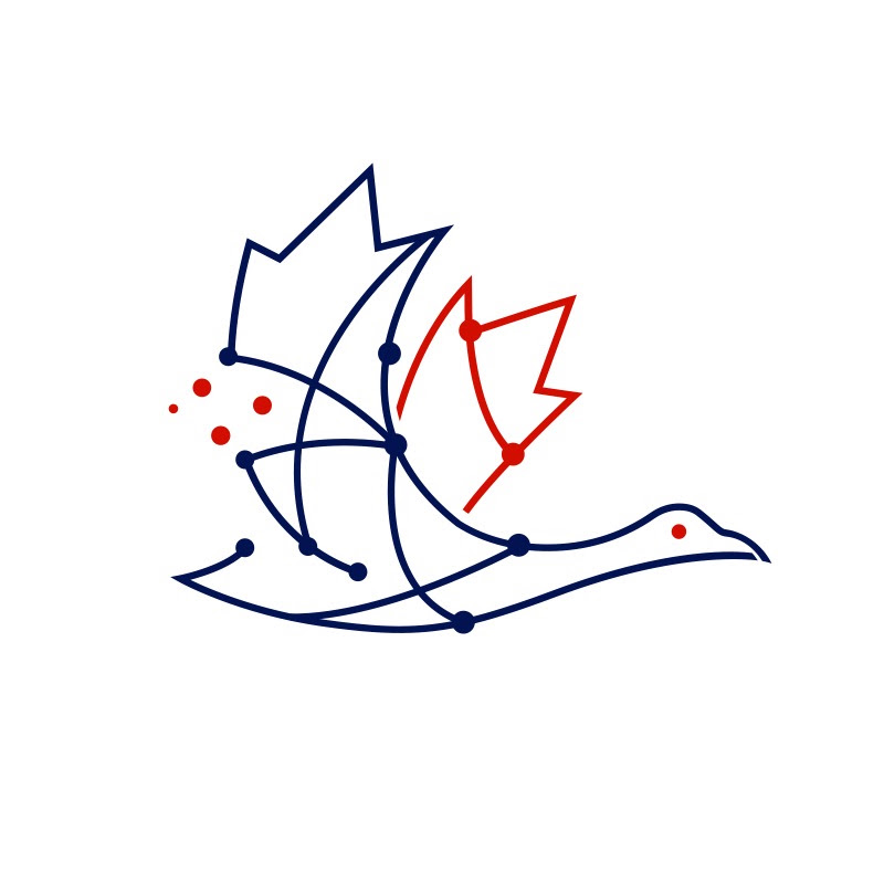 AI Governance and Safety Canada
