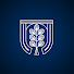 tMkxLhATaWI-channel-avatar-Imobiliária Carvalho