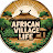 African village life 