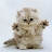 @meBibby's avatar