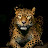 @wwk279's avatar