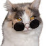 ZuyqPpi-gbM-channel-avatar-Meow Mischief