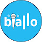 Finanzexperten im Interview - biallo logo