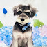 MOavcxlYUWM-channel-avatar-メル日記-Mel Diary