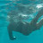 @toroyamaprotraveltv8297