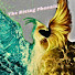XxHPPM-S9gA-channel-avatar-The Rising Phoenix Tarot Readings