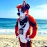 0s4iNByCFJg-channel-avatar-ThatDogCoda