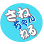 【saneidental】さねちゃんねるギター
