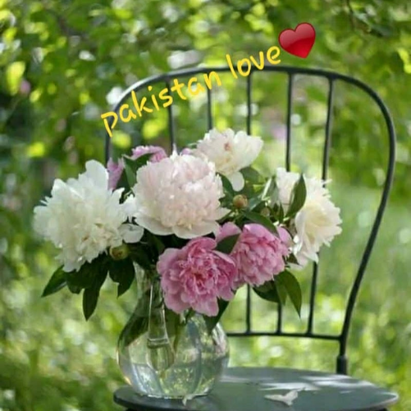 pakistan love