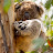 @Leequilibrium88 Avatar