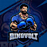 jJ8FrOlaGV4-channel-avatar-RINGVOLT