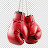 CANTABRIA BOXEO Y KICK BOXING