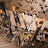 @stephanefraga2599's avatar
