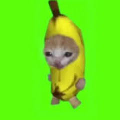 猫ミーム労災速報