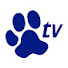 ckv2ge0TDG0-channel-avatar-Transgroom TV