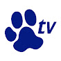 Transgroom TV logo