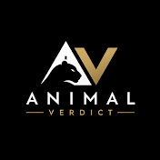 Animal Verdict