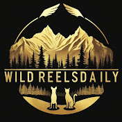 Wild Reels Daily