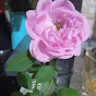 Miniature