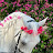 @alyaqotsulayman2595