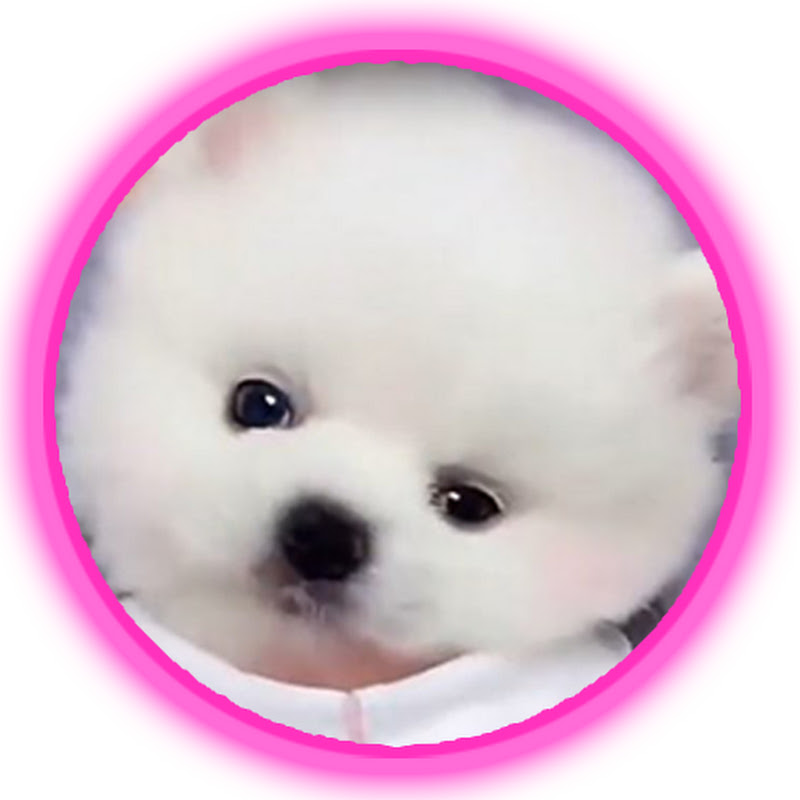 Happy Cute Animals icon