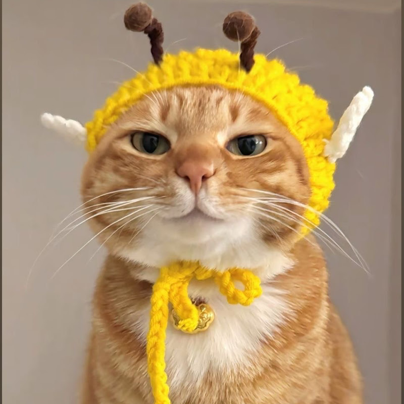 Hoạt Hình Vui Nhộn Kids, Baby