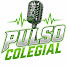 UU5H5SLtuNw-channel-avatar-Pulso Colegial
