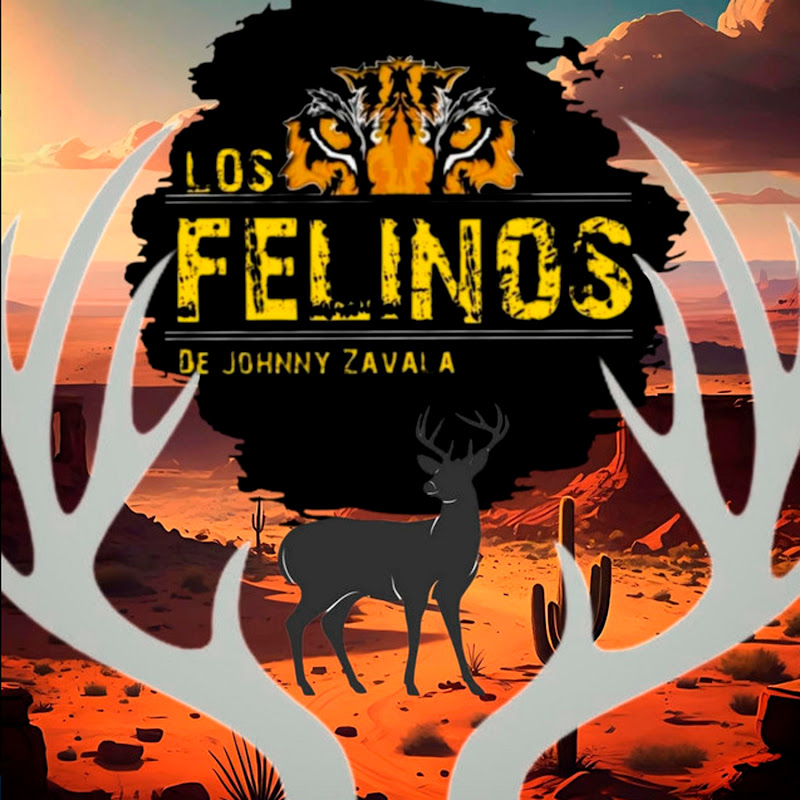 Los Felinos - Topic