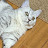 @meowymeowynyumnyum