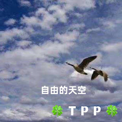 TPP-自由的灵魂アイコン画像