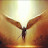 @17dm7