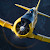 Logo: Warbird-Aviation