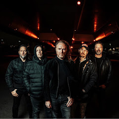 The Halo Effect - Topic