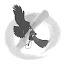 Pd_OFqJWRhg-channel-avatar-老K馴鷹
