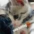 kudR2VN_xMM-channel-avatar-nana knitting