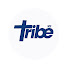 _ErtyxJdNmA-channel-avatar-Tribe101