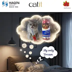 Maple Pets International YouTube channel