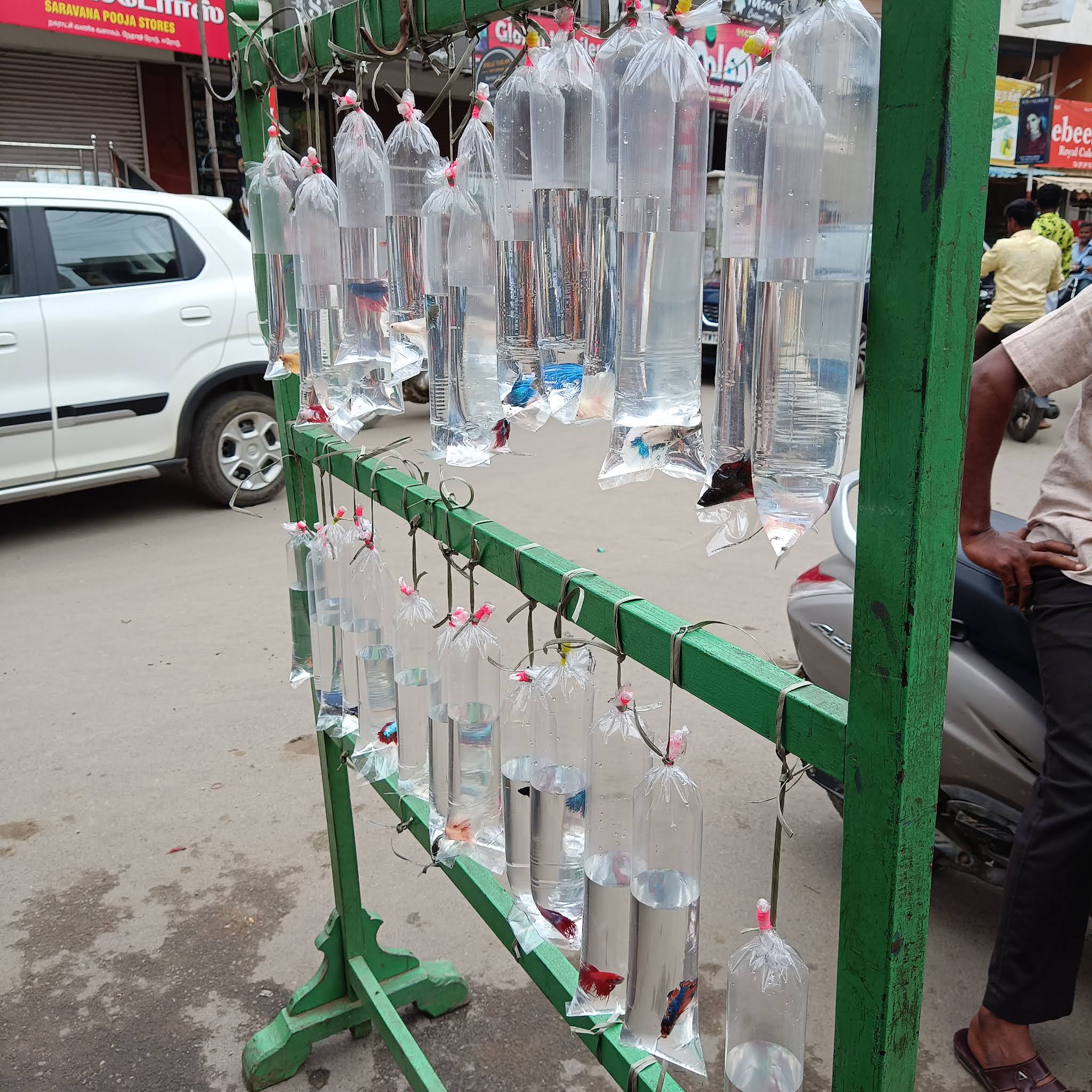 Post from 🐠ERODE BETTA FACTORY🐠