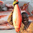 Junior lifestyle of fishing