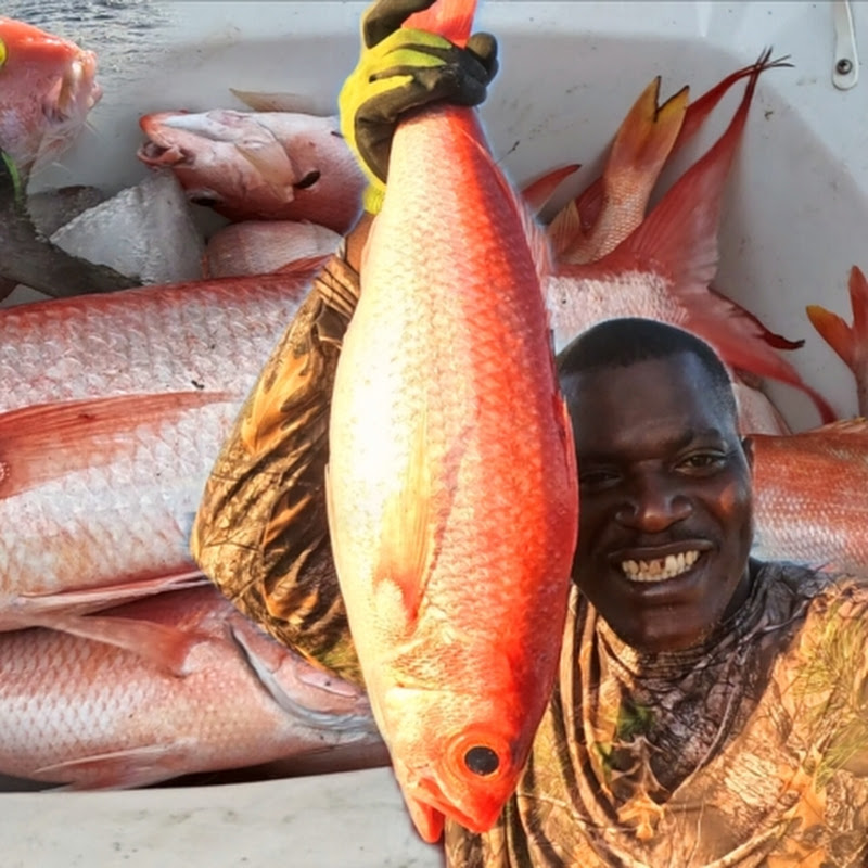 Junior lifestyle of fishing