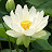 @갱쑤기-k3d