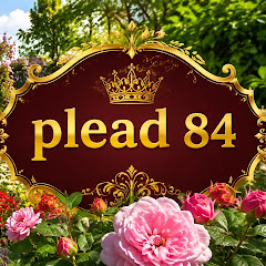 plead84