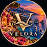 SOIOuHJ4-bs-channel-avatar-VELORA