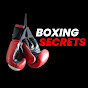 Boxing Secrets  logo