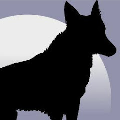 エンジョイ遊戯王ちゃんねる