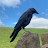 @oliverharris2832 Avatar