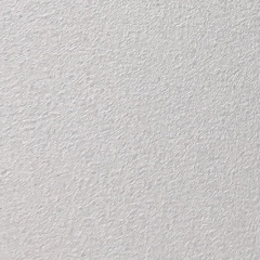 白キツネアイコン画像