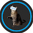 0p2J3Vy_5jg-channel-avatar-CatVR