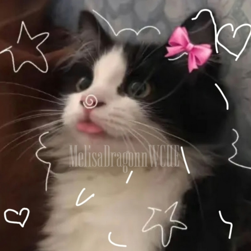 MelisaDragonn_WCUE