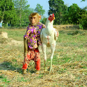 SokYaa Sahav